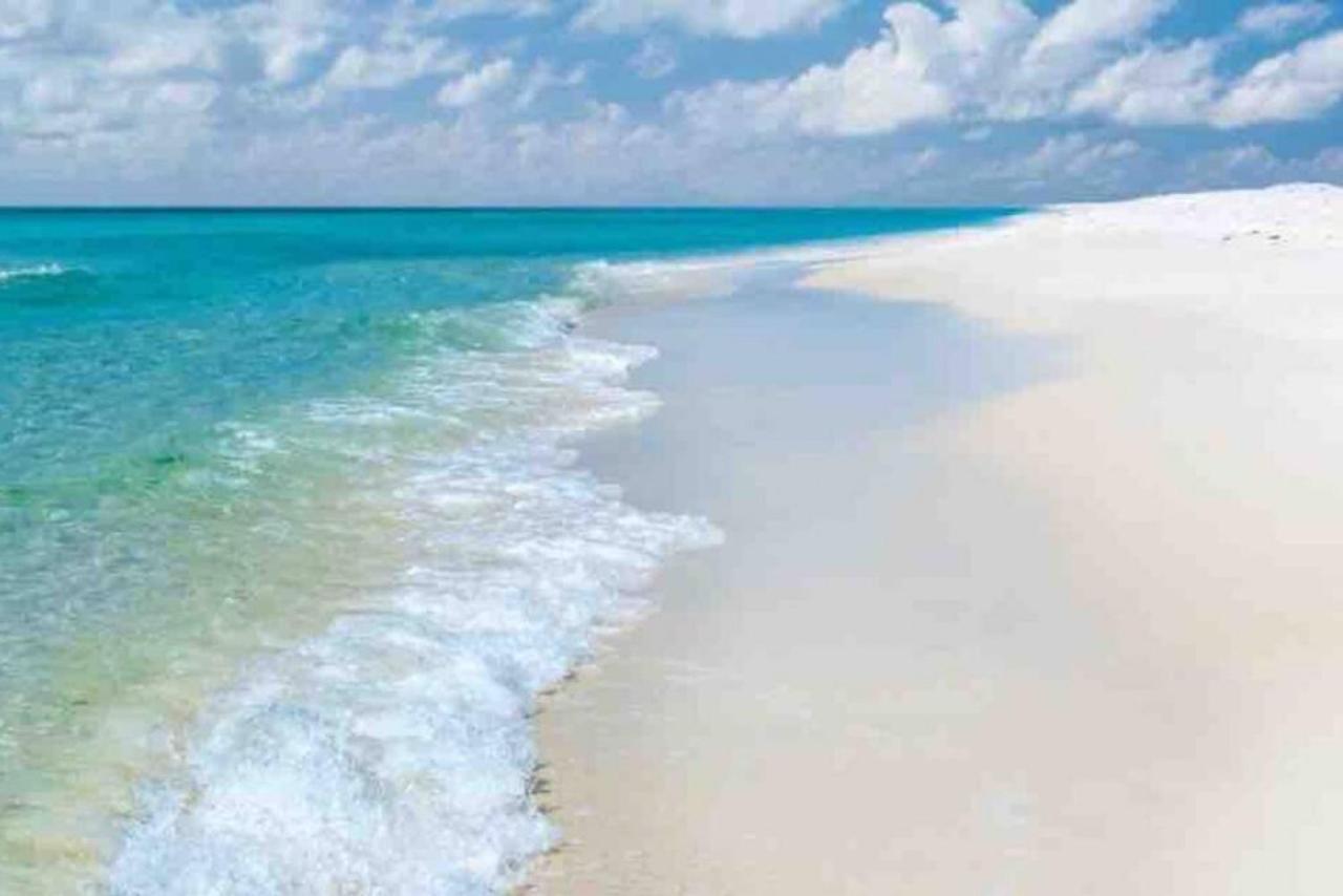 Walk To Downtown Seafood Market Bay Views Pensacola Eksteriør billede